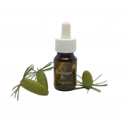 PROPOLİS (20 ML)