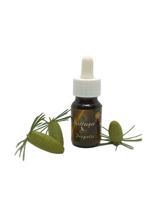 PROPOLİS (20 ML)