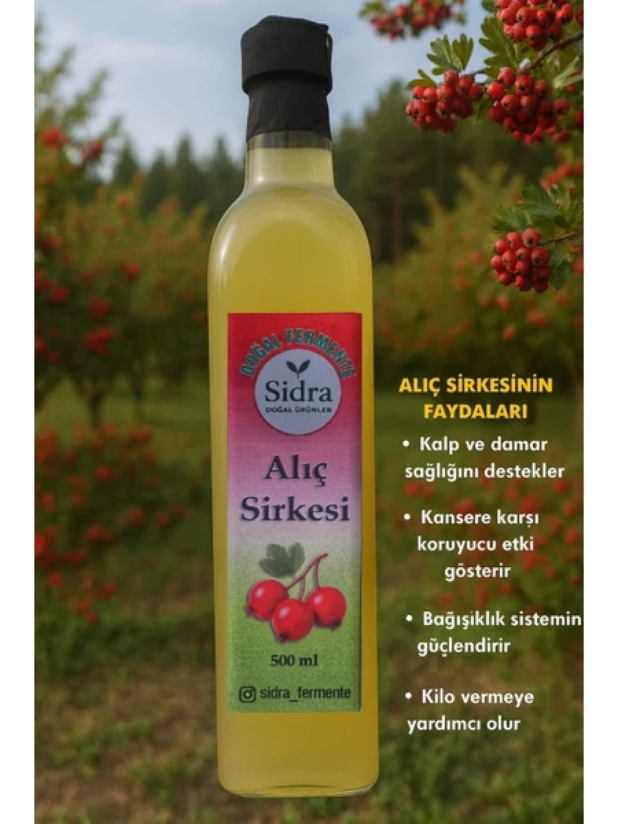 Doğal Fermente Alıç Sirkesi